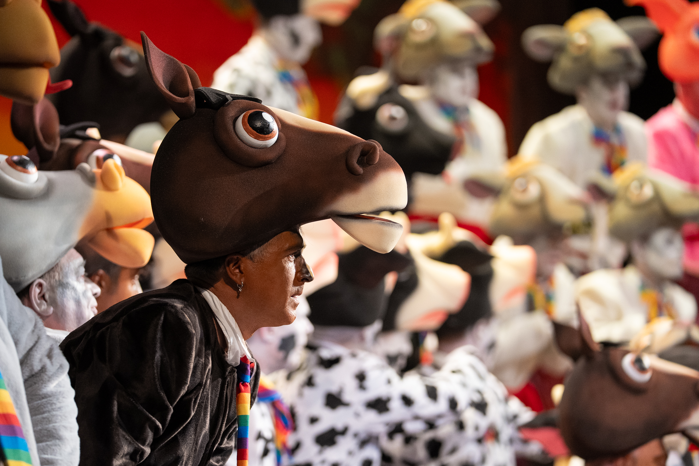 Reacciones - Coro, ¡Qué pechá de paja! - Cuartos