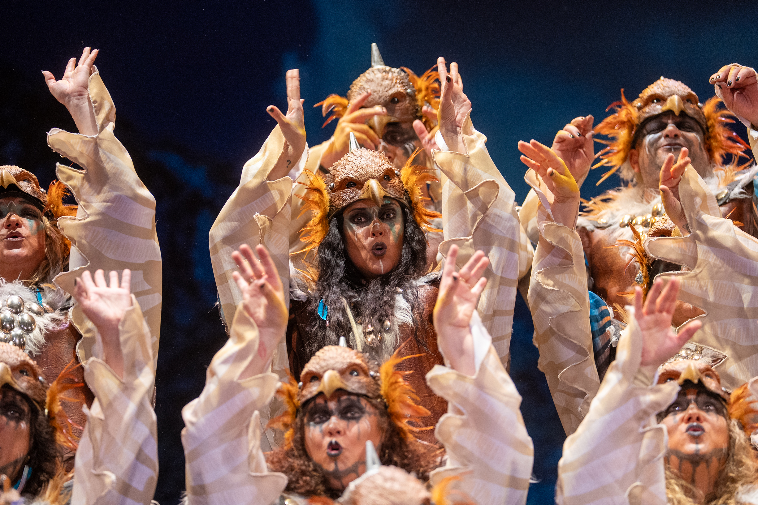 Coro, El reino de los cielos - Preliminares