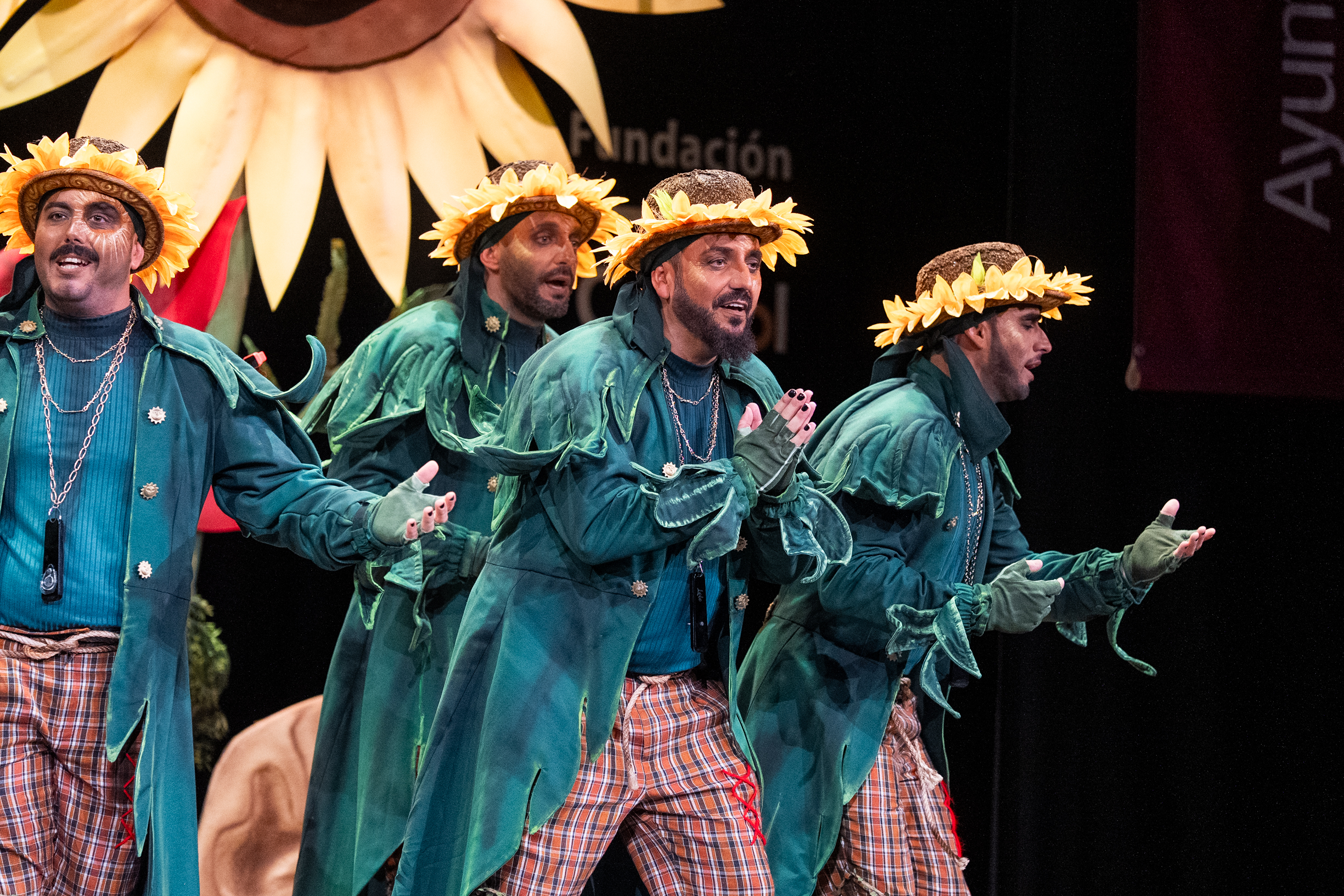 Comparsa, La hipócrita - Preliminares