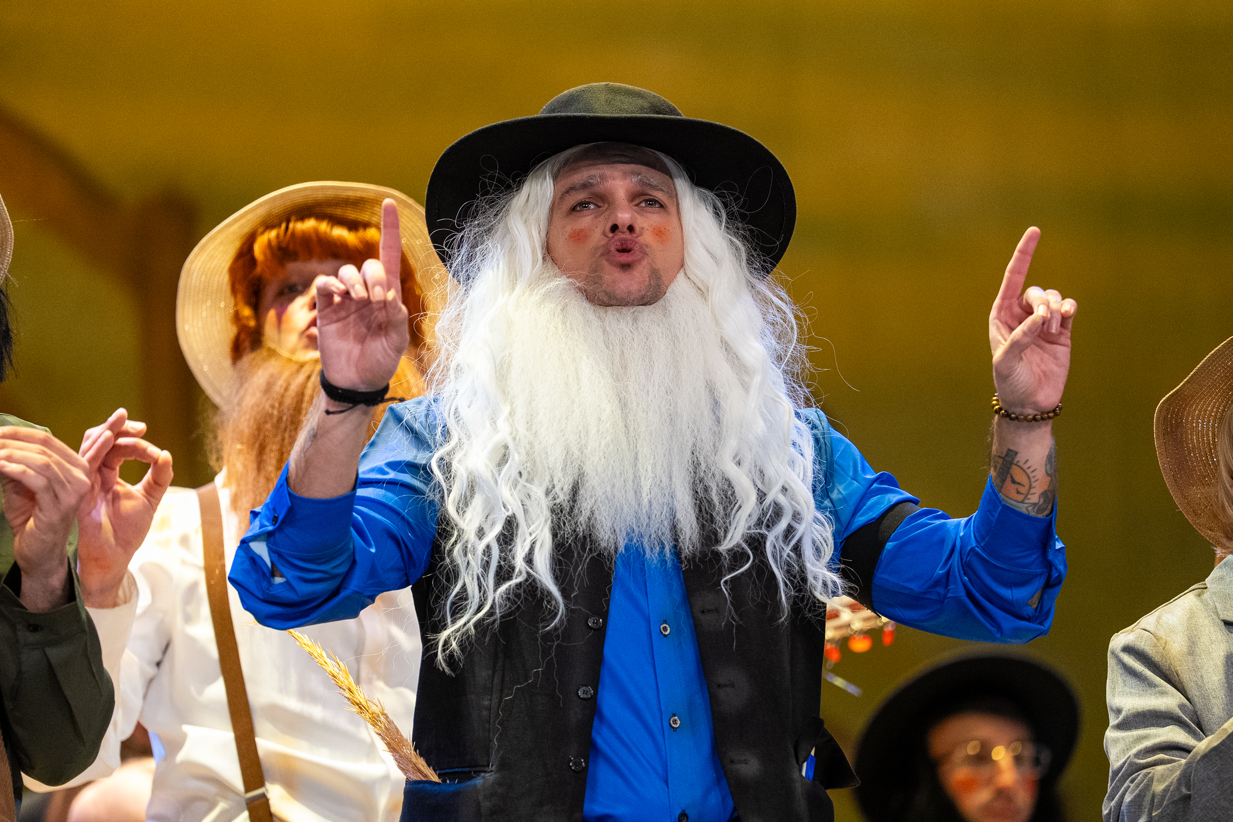 Chirigota, Los Amísh del mono, fuimos a por piononos (La decepción) - Preliminares 