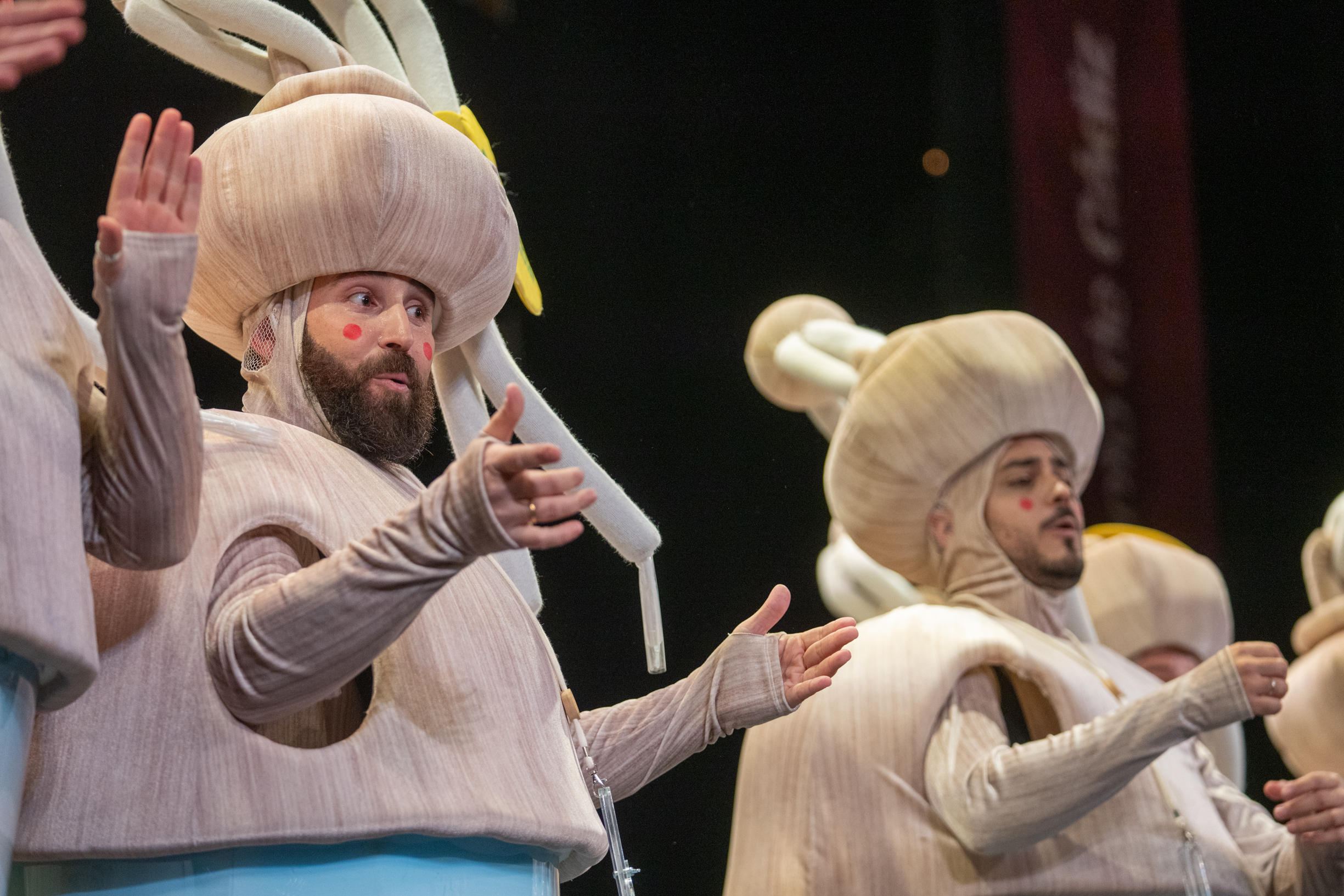 Chirigota, ¡Cariño... Vaya ambientazo! - Preliminares