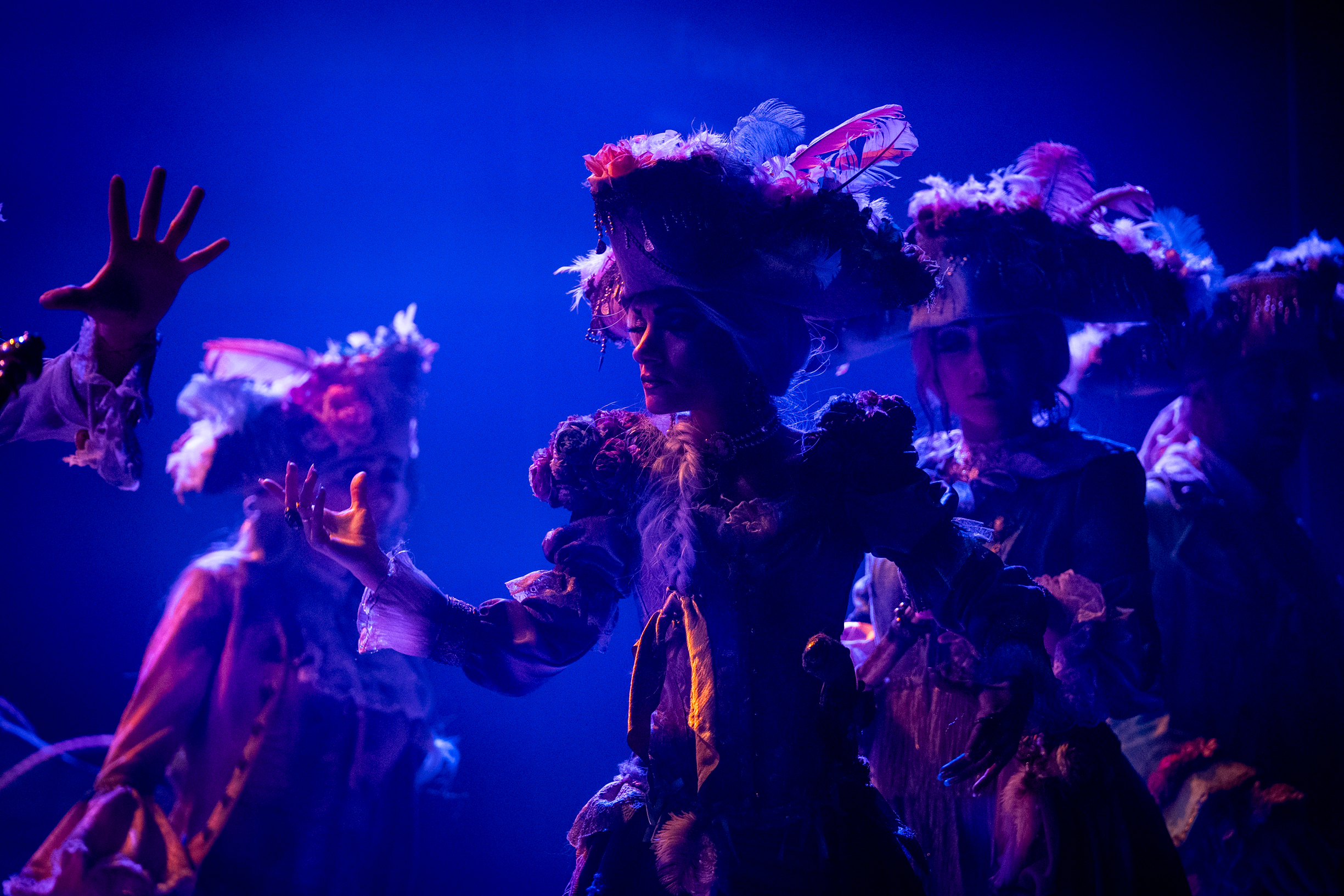 Comparsa, Contra viento y marea - Preliminares