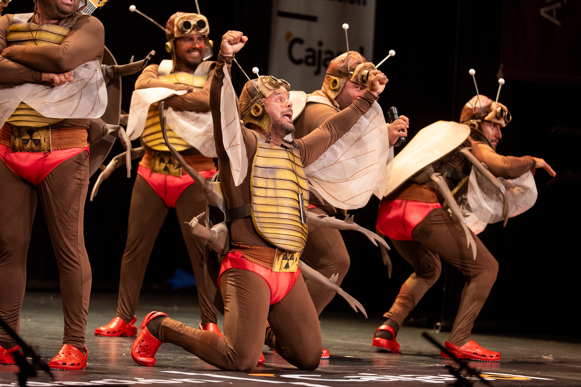 Chirigota, Las que salen por la noche - Preliminares