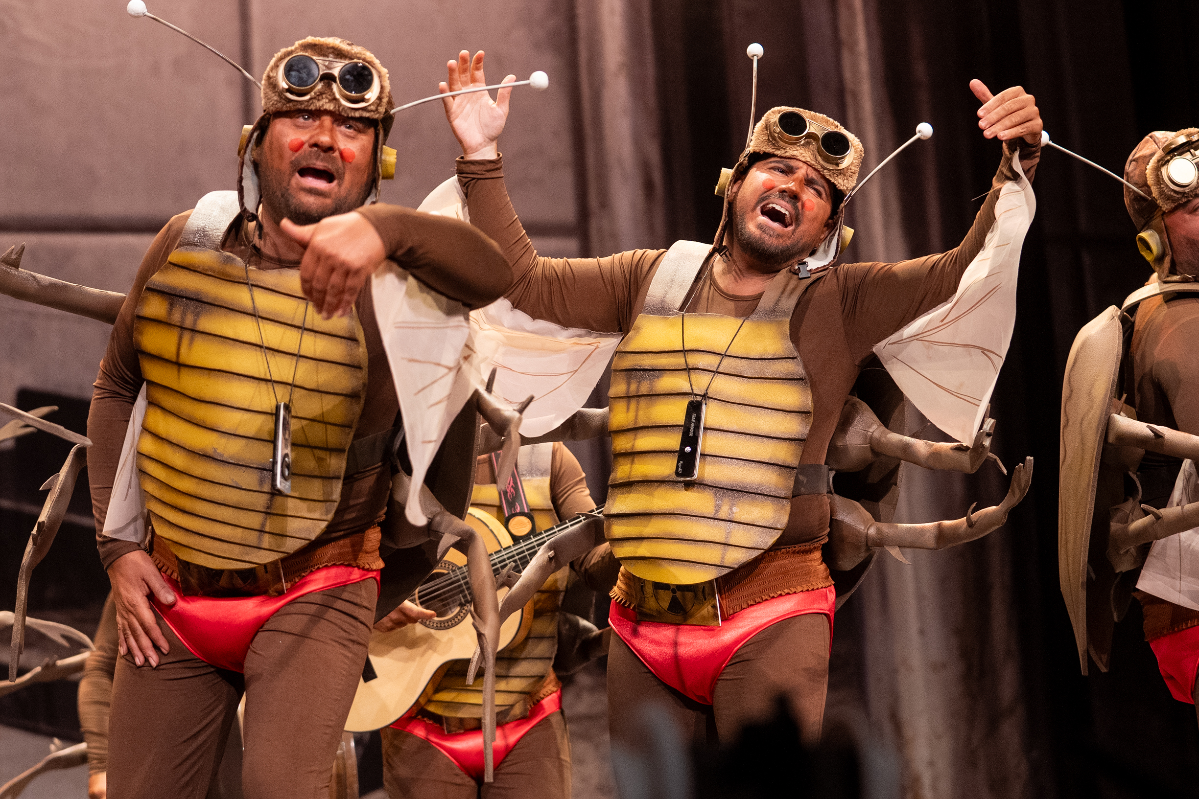 Chirigota, Las que salen por la noche - Preliminares