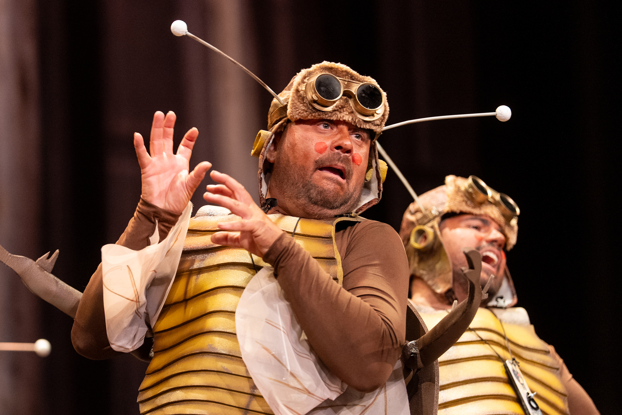 Chirigota, Las que salen por la noche - Preliminares