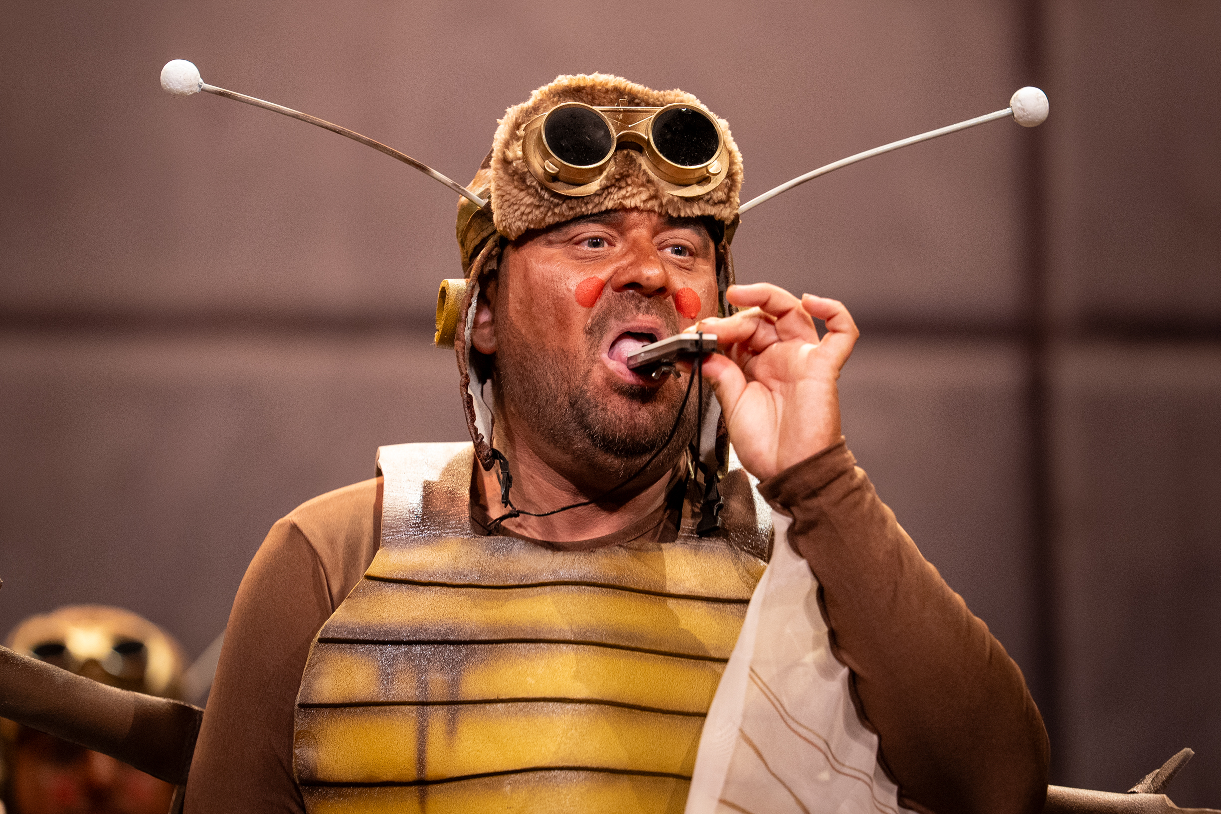 Chirigota, Las que salen por la noche - Preliminares