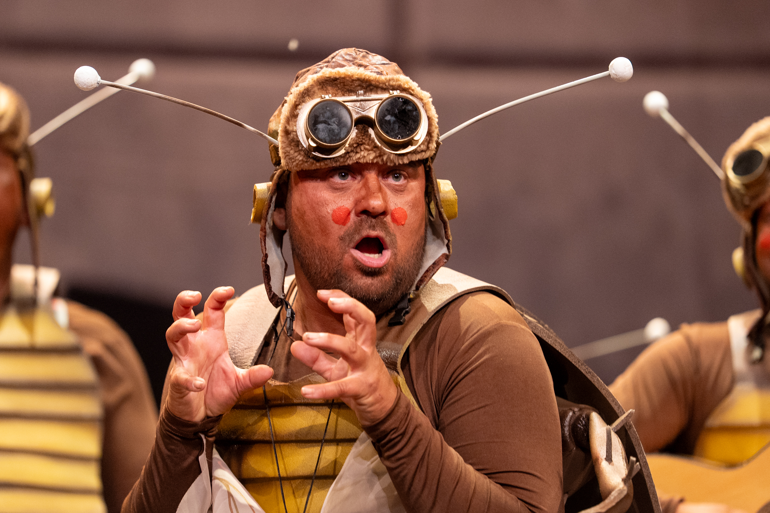 Chirigota, Las que salen por la noche - Preliminares