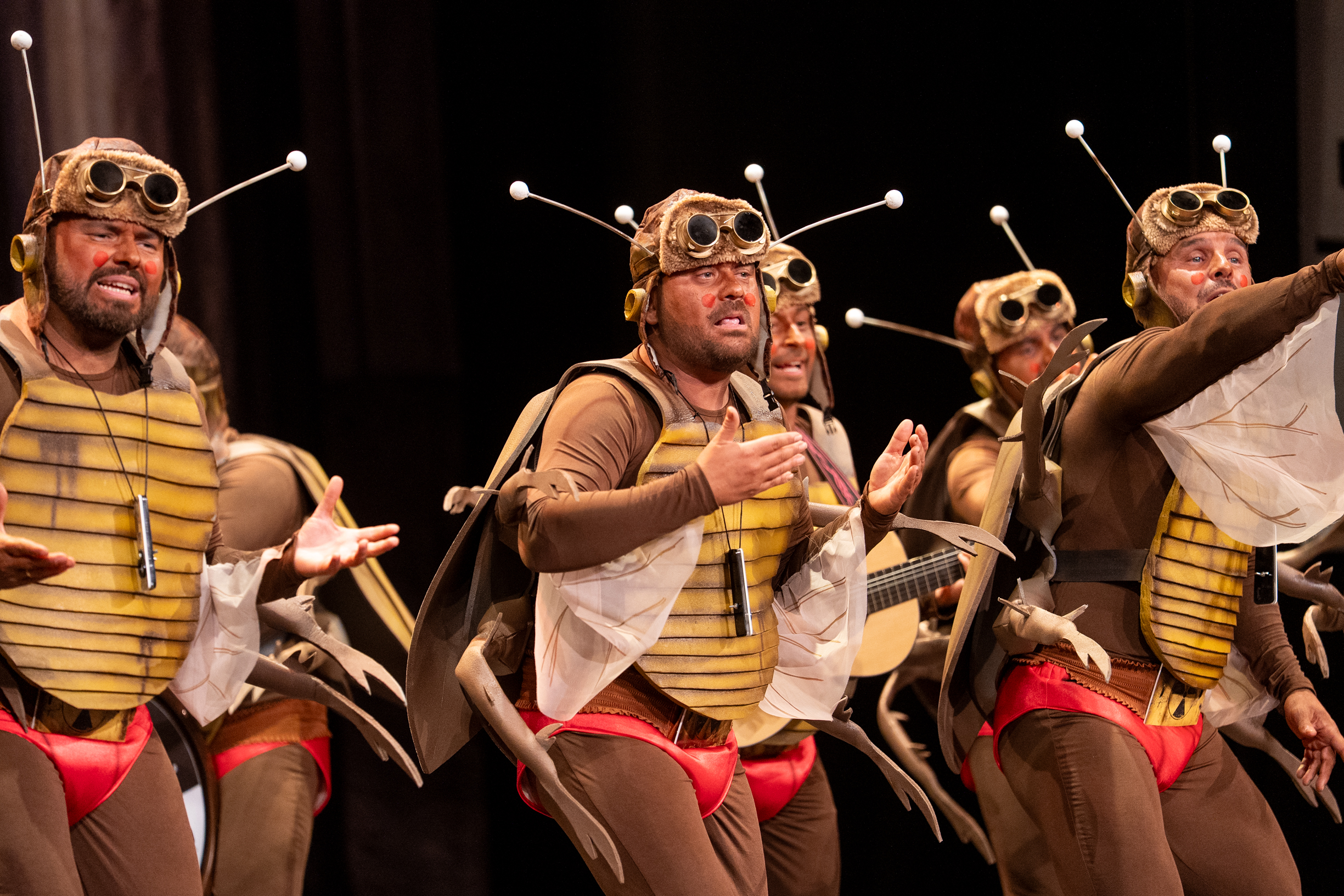 Chirigota, Las que salen por la noche - Preliminares