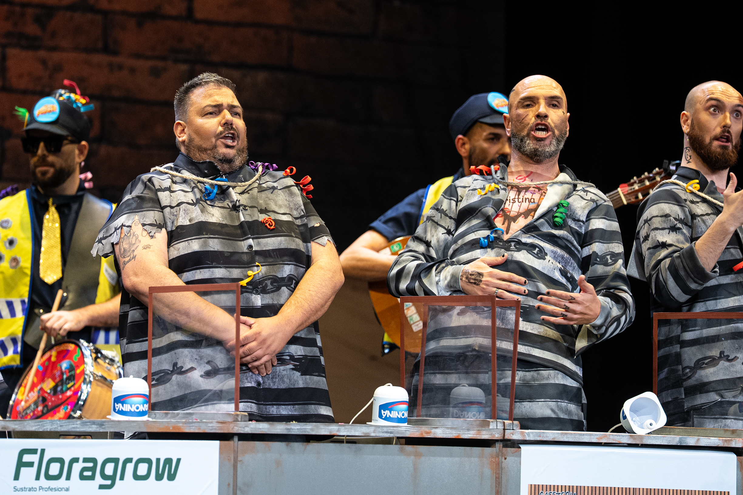 Chirigota, Mírala cara a cara - Preliminares