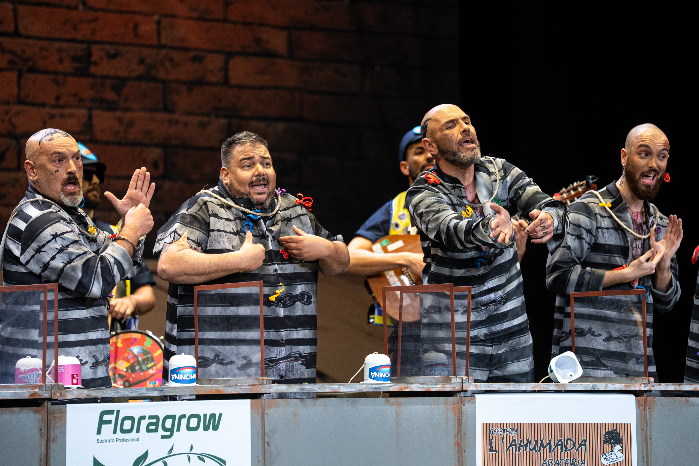 Chirigota, Mírala cara a cara - Preliminares