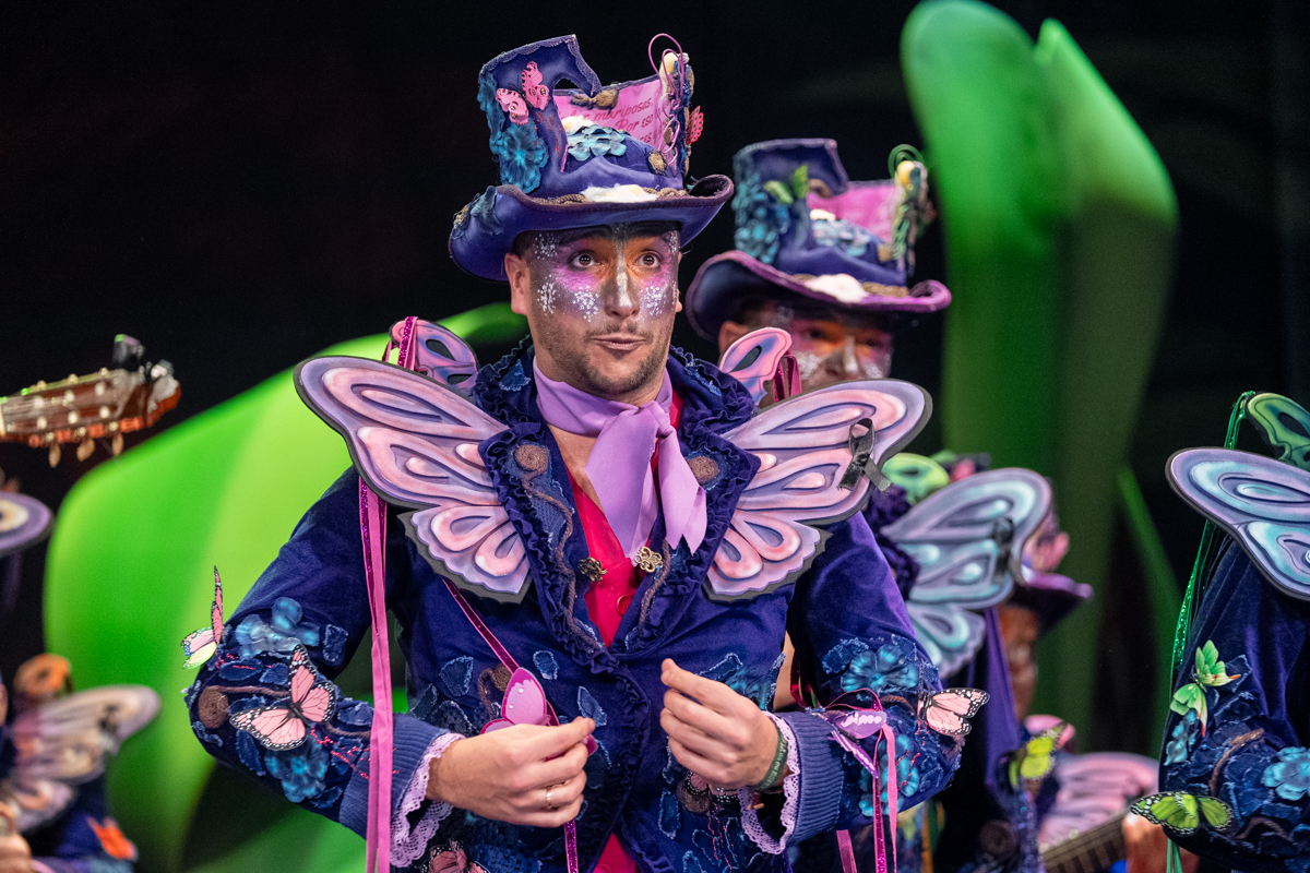 Comparsa, Los Mariposas - Preliminares
