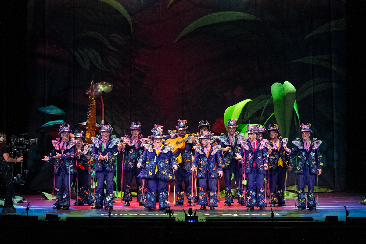 Comparsa, Los Mariposas - Preliminares