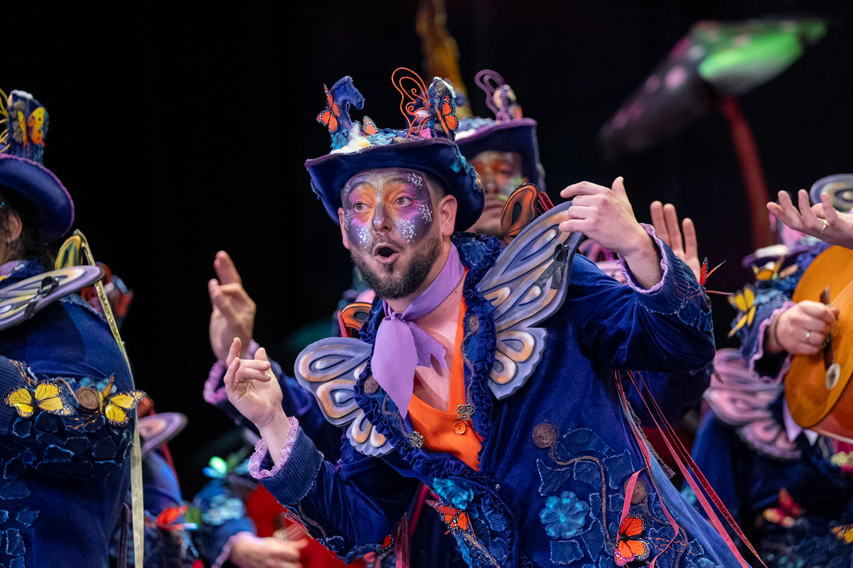 Comparsa, Los Mariposas - Preliminares