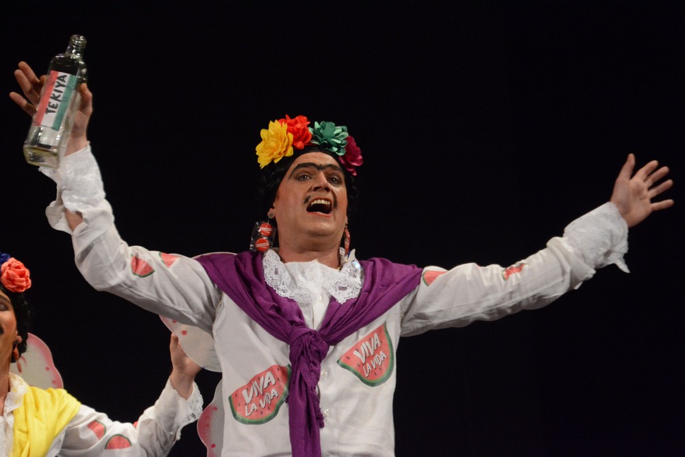 La revolución de las mariposas (las fridakahlo)