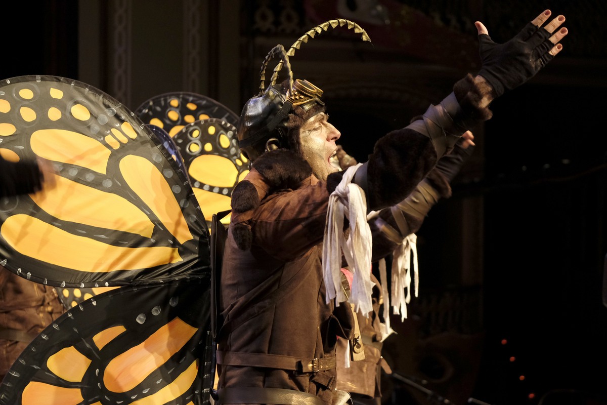 El circo de las mariposas