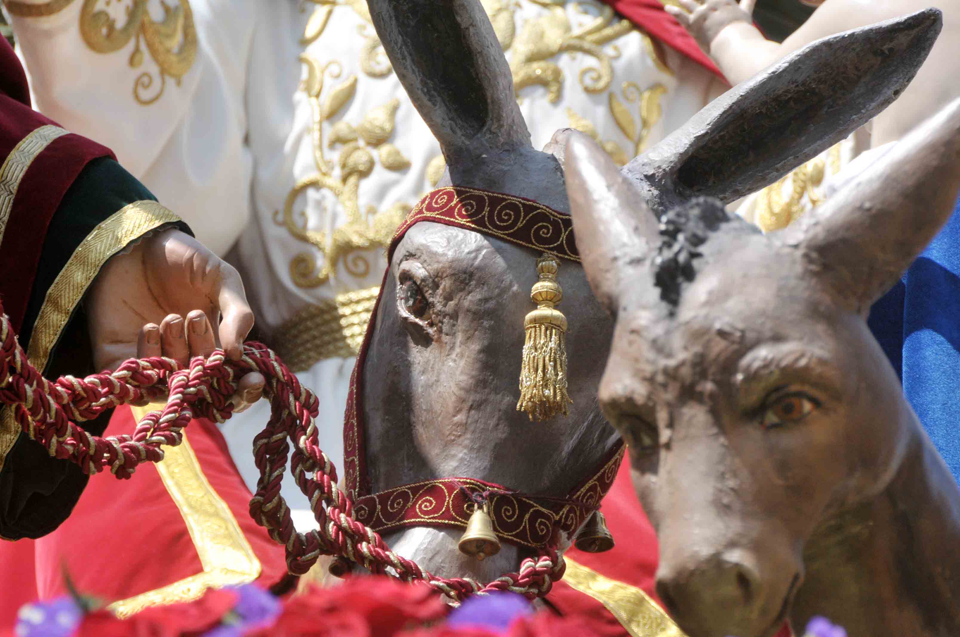 La borriquita llenó de palmas y hosannas la alameda gaditana y todas las calles de su recorrido penitencial La borriquita llenó de palmas y hosannas la alameda gaditana y todas las calles de su recorrido penitencial