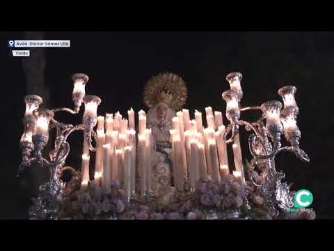 Recogida Virgen de los Desamparados - Caído