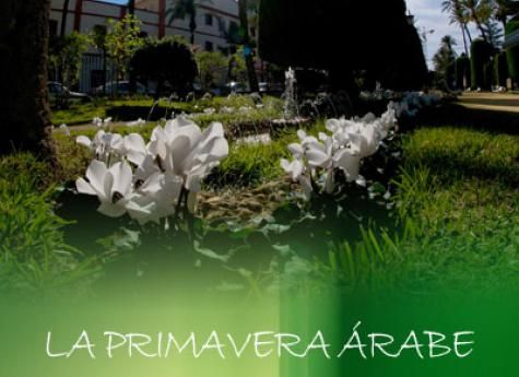 La primavera árabe