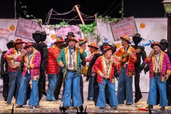 Chirigota, Piensa mal y acertarás (Los Desconfiaos)