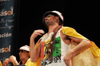 Los hippychanos
