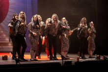 Chirigota, ¡ A quien le importa!