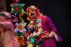 Chirigota, Los hermanos del buen fin - Preliminares