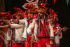 Chirigota, Los tigres blues band - Preliminares