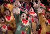 Coro, El gallinero - Gran Final