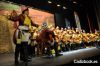 Las napoleonas