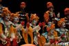 El circo del sol